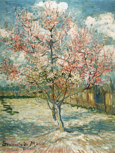 Peach Tree in Bloom at Arles - Vincent Van Gogh Paintings - Click Image to Close